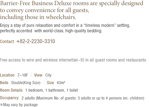 Barrier-free Business Deluxe