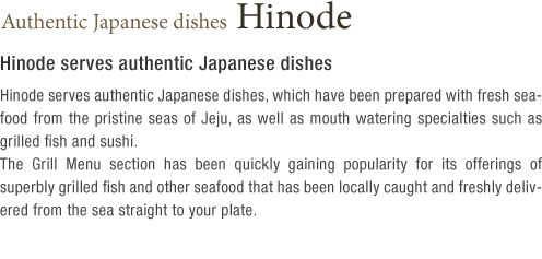 Authentic Japanese dishes Hinode