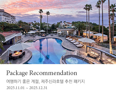 Package Recommendation