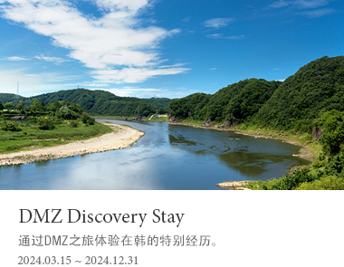 DMZ Discovery Stay 2024.03.15 ~ 2024.12.31