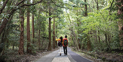 Natural Trekking