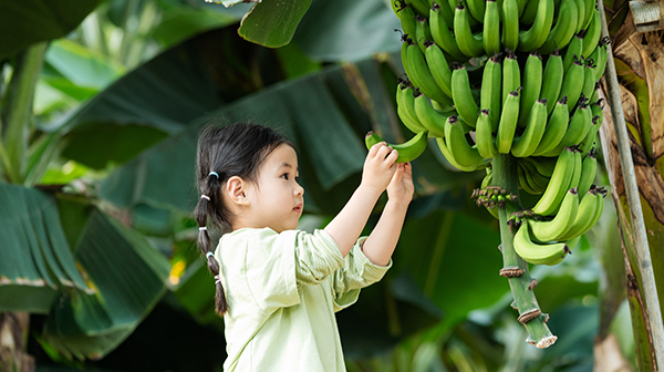 Experience Fall in Jeju For Family