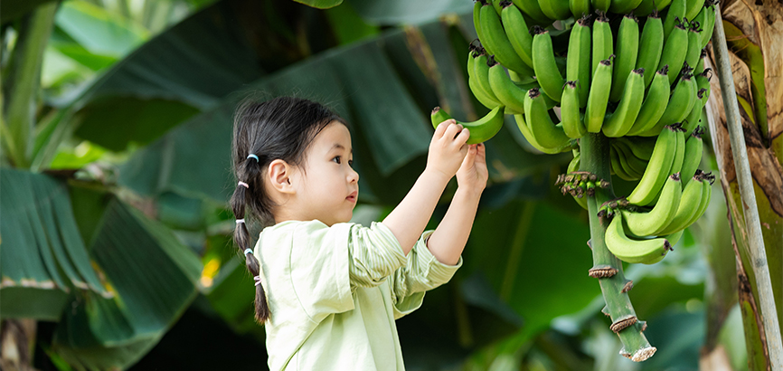 Experience Fall in Jeju For Family